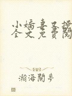 小娇妻又撩又甜全文免费阅读