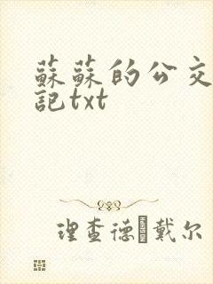 苏苏的公交车日记txt