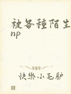 被各种陌生人 np