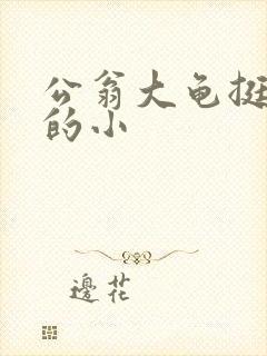 公翁大龟挺进我的小