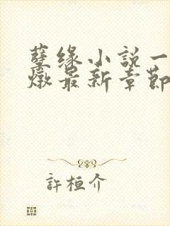 孽缘小说一家乱炖最新章节阅读