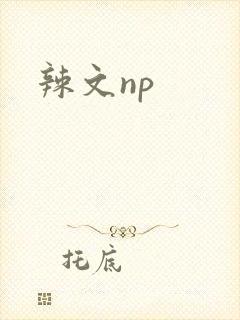 辣文np