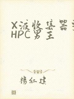 X液收集器系统HPC男主