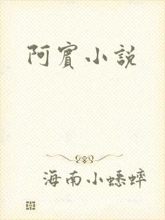 阿宾小说