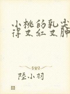 小桃的乳尖被吸得又红又肿