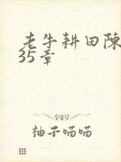 老牛耕田陈雪435章