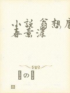 小说 翁想房中春意浓