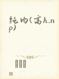 纯肉(高h.np)