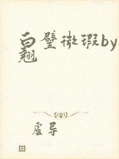 白璧微瑕by连翘