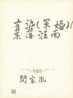 有染(军婚)/叶落淮南