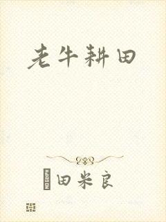 老牛耕田