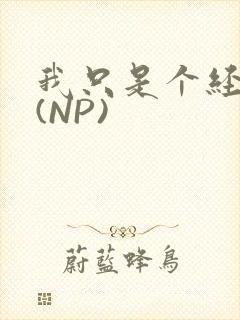 我只是个经纪人(NP)