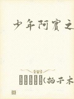 少年阿宾之学姐