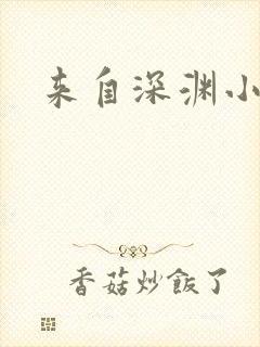 来自深渊小说