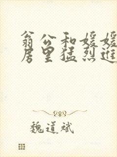 翁公和媛媛在厨房里猛烈进出