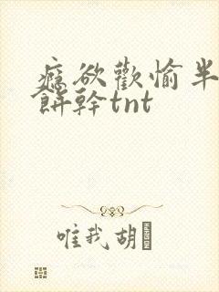 瘾欲欢愉半块小饼干tnt