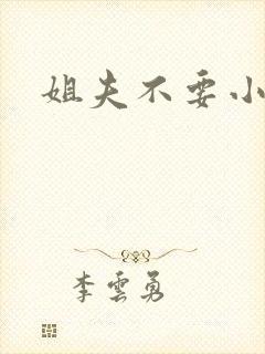姐夫不要小说