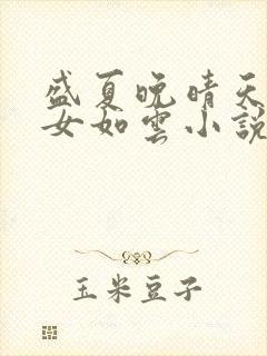 盛夏晚晴天之美女如云小说