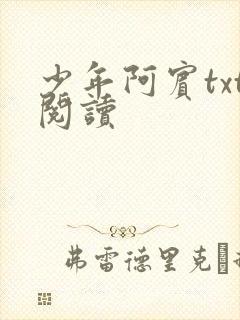 少年阿宾txt阅读