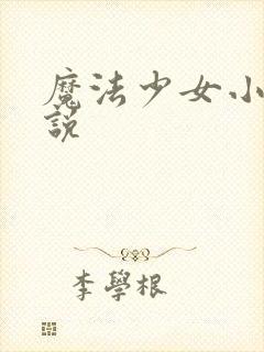 魔法少女小圆小说