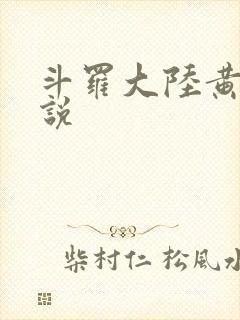 斗罗大陆黄化小说