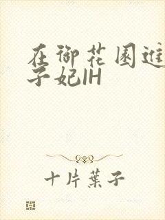 在御花园进入太子妃IH