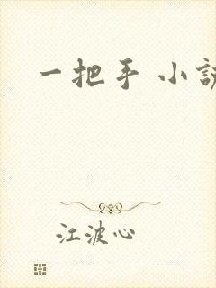 一把手 小说