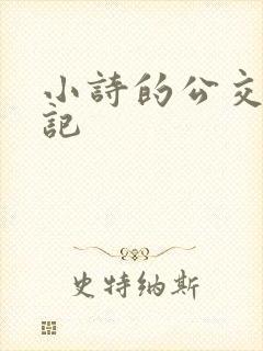 小诗的公交车日记