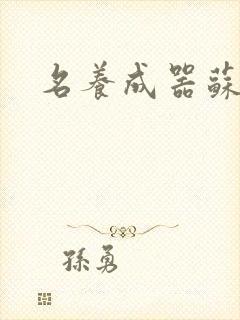 名养成器苏沫沫