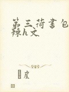 第三荷书包网高辣h文