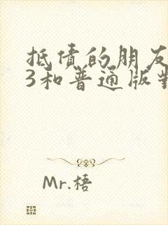 抵债的朋友麦子3和普通版对比