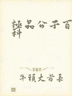 极品公子百度百科