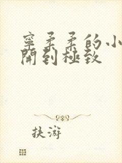 宁柔柔的小泬撑开到极致