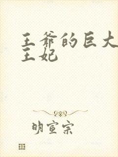 王爷的巨大进入王妃