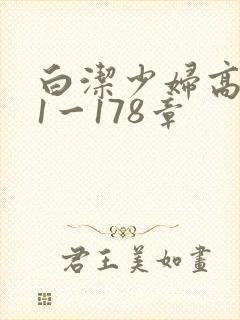 白洁少妇高义第1一178章