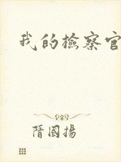 我的检察官先生