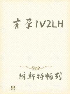 有孕1V2LH
