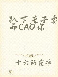 趴下老子要从后面CAO你