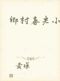 乡村春光小说