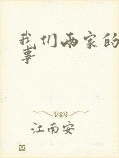 我们两家的荒唐事