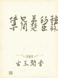 借兄弟的种生孩子周楚臣苏糖