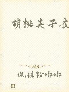 胡桃夹子夜未眠