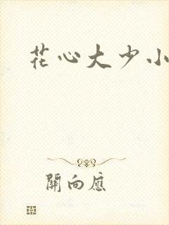 花心大少小说