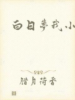 白日梦我小说