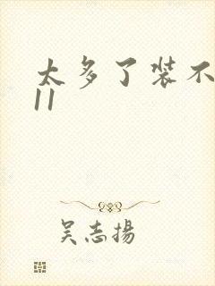 太多了装不下H11