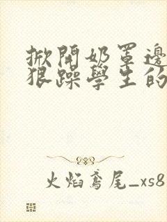 掀开奶罩边躁狠狠躁学生的小文字