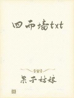 四面墙txt