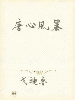 唐心风暴