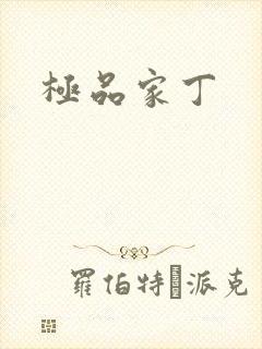 极品家丁