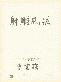 射雕风流
